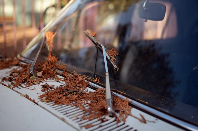 Is Your Windshield Wiper Playing Mind Games? Key Indicators They’ve Lost Their Touch
